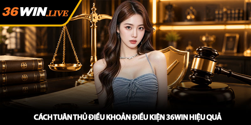 Cách tuân thủ điều khoản điều kiện 36WIN hiệu quả