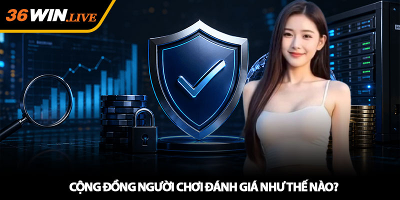 Cộng đồng người chơi đánh giá như thế nào?