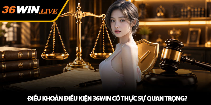 Điều khoản điều kiện 36WIN có thực sự quan trọng?