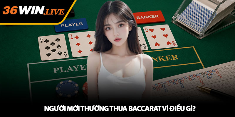 Người Mới Thường Thua Baccarat Vì Điều Gì?