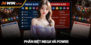 Phân biệt Mega và Power - Nên chọn Mega hay Power năm 2026
