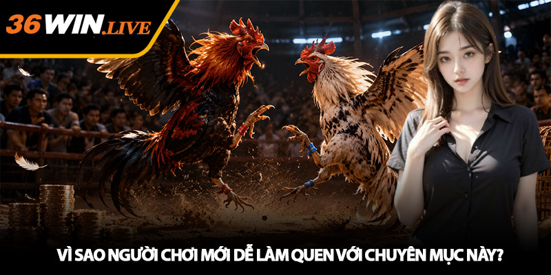 Vì Sao Người Chơi Mới Dễ Làm Quen Với Chuyên Mục Này?