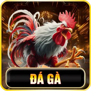 imgi 23 sanh da ga 3win 300x300 1