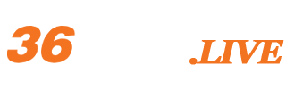 36win.live